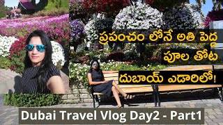 Dubai Travel Vlog Day 2 - Part 1 Miracle Garden ప్రపంచం లోనే అతి పెద్ద పూల తోట, దుబాయ్ ఎడారిలో!