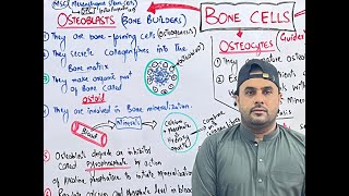 LEC 6 | Bone Cells | Osteoblast / Osteocyte / Osteoclast ( Part 4 ) | Support and Movement |