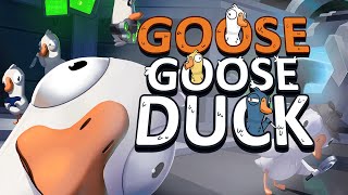 AMONG US GETS DUCKED!  Goose, Goose, Duck (8 player gameplay)