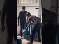 copra cutter machine