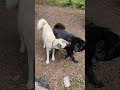 Что у Вас здесь происходит?