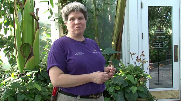 Marjorie McNeely's North Garden Tour