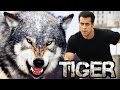 Salman Khan To Shoot A Deadly Scene With Wolves For Tiger Zinda Hai