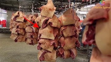 🔥MUST WATCH🔥 World