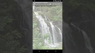 Tropical Waterfall Live Wallpaper for Android OS screenshot 2