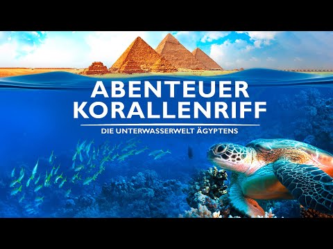 Abenteuer Korallenriff – Die Unterwasserwelt Ägyptens (DOKU mit überwältigen Bildern, Deutsch)