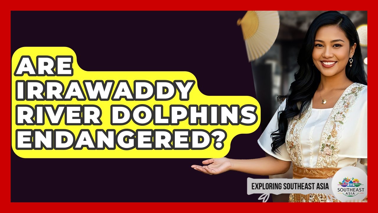 Are Irrawaddy River Dolphins Endangered? - Exploring Southeast Asia