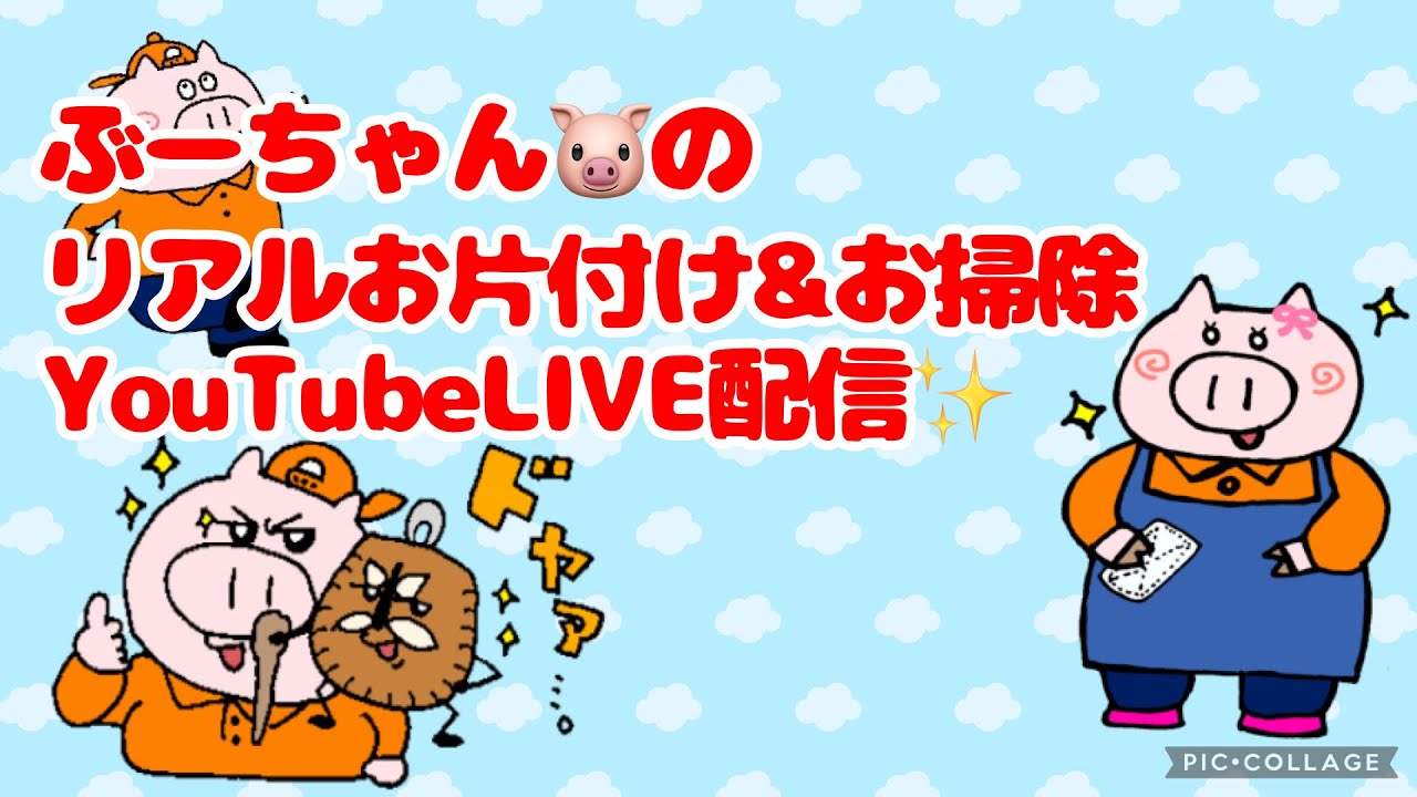 🍀新企画！🧹【ズボラ女子ぶーちゃんリアルお片付け配信✨️🐷】〜冷蔵庫の整理とお掃除するよ！！〜
