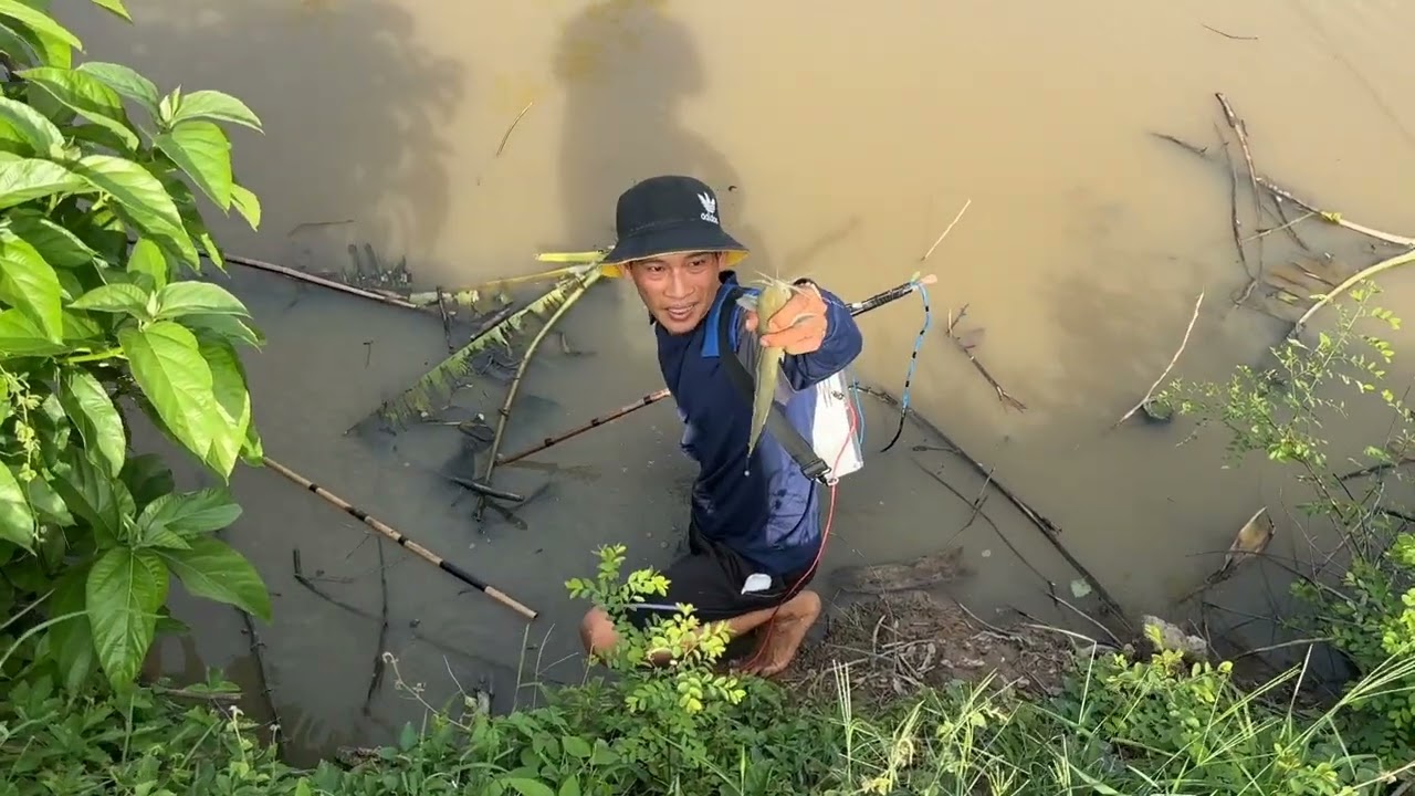 Quá đã trê vàng a.e ơi nhiều cá ngon quá