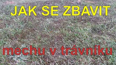 Co se týče mechu okrasných trávníků?