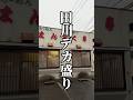 福岡県田川市のデカ盛りパリパリ皿うどん（揚げそば）まんぷく亭さんで口の中禿げそうになりました　#shorts #北九州グルメ #九州旅行　#福岡グルメ