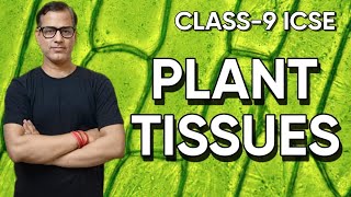 Tissues Plant and And Animal Tissues ICSE Class 9 | Tissues Class 9 ICSE | @sirtarunrupani
