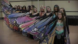 Butterfly Wing Belly Dance -  Lobo Del Mar