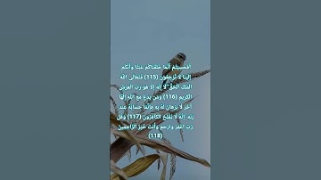 وَقُل رَّبِّ اغْفِرْ وَارْحَمْ وَأَنتَ خَيْرُ الرَّاحِمِينَ ( سورة المؤمنون ) القارئ إسلام صبحي