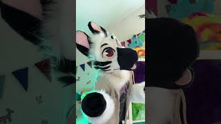 Dance party :D #furry #fursuit #protogen #therian #otherkin #rainbow #disco #zebra 