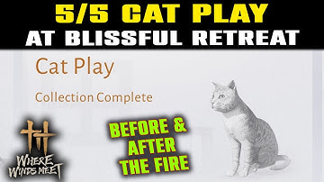 ALL Cat Play Locations BLISSFUL RETREAT (BEFORE & AFTER FIRE) | Where Winds Meet | 5/5 Cat Locations