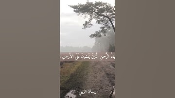 #اكسبلور #الجمعة #لايك #حالات_واتس #دويتو #راحة_نفسية #سورة_الكهف #ترند #تيك_توك