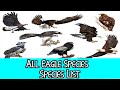 All Eagle Species - Species List