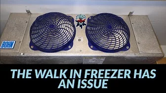 THE WALK IN FREEZER HAS AN ISSUE