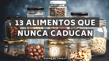 ¿Qué vinagre es mejor para conservar los alimentos?