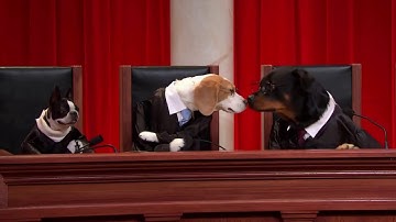 Abbott v. United States: Oral Argument - October 04, 2010