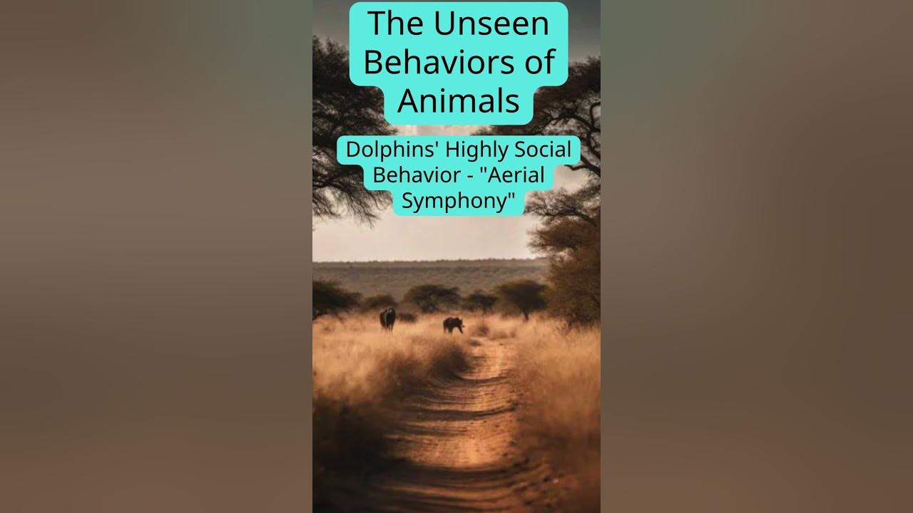 The unseen behaviors of animals animals behaviour unseen 