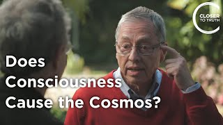 Lothar Schafer  Does Consciousness Cause the Cosmos?