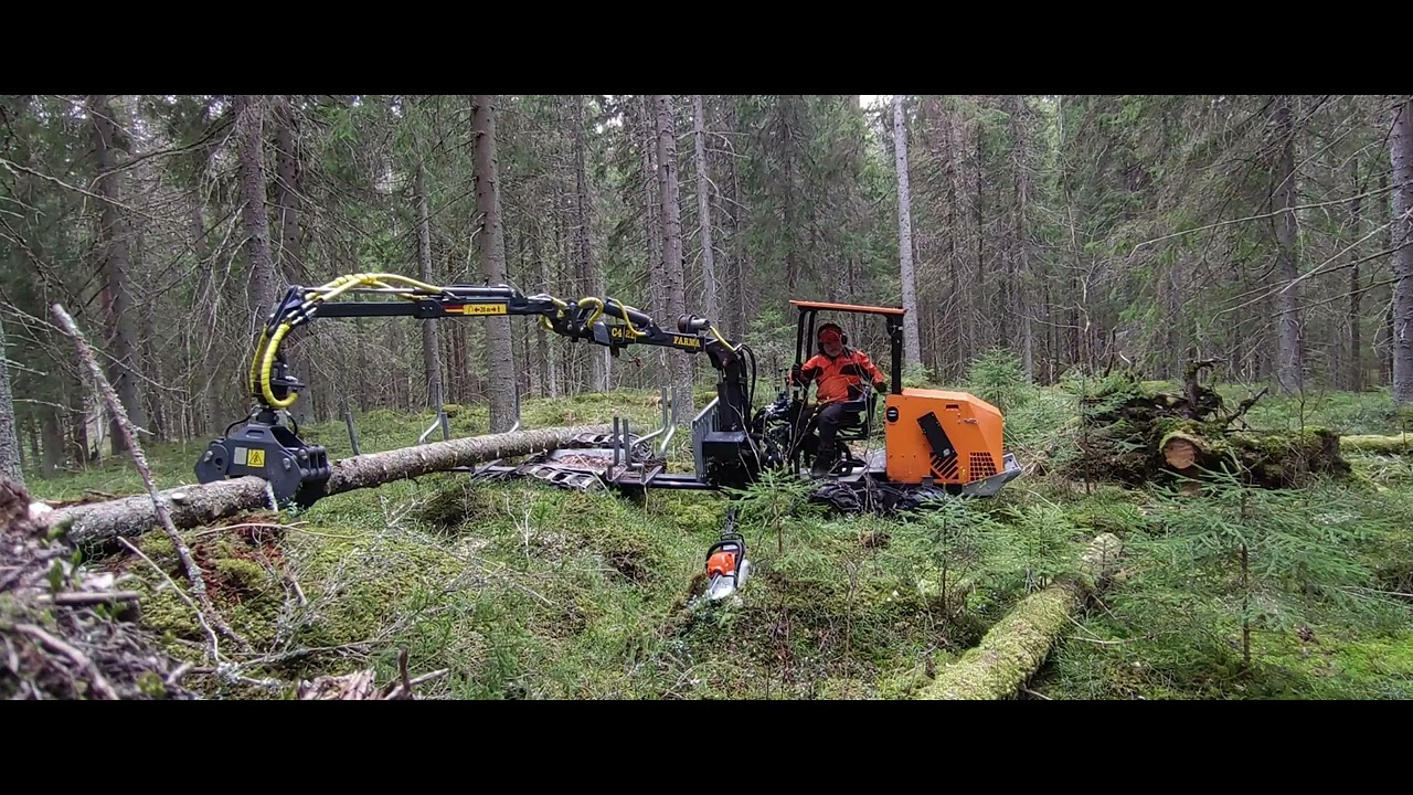 Pitkä pölli metsästä Logbulletilla