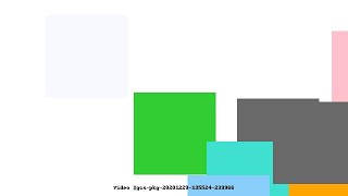 Video #gcs-pkg-20201229-135524-239966