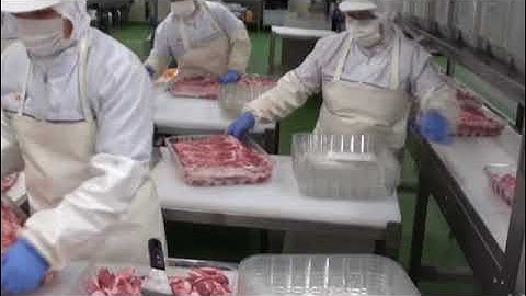 Máy cắt thịt mát Jupiter II  ( chilled & fresh meat slicer )