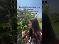Missing my Raju and Farhan 🧿🥲 #shortsfeed #friendshipgoals #friendsforever #youtubeshorts
