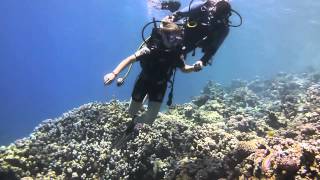 diving Sharm el Sheikh 2015