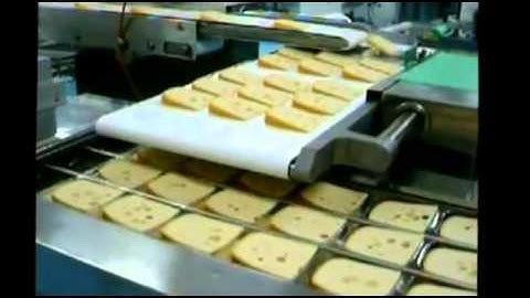 GEA (CFS) укладка нарезки сыра в термоформер FlexLoader