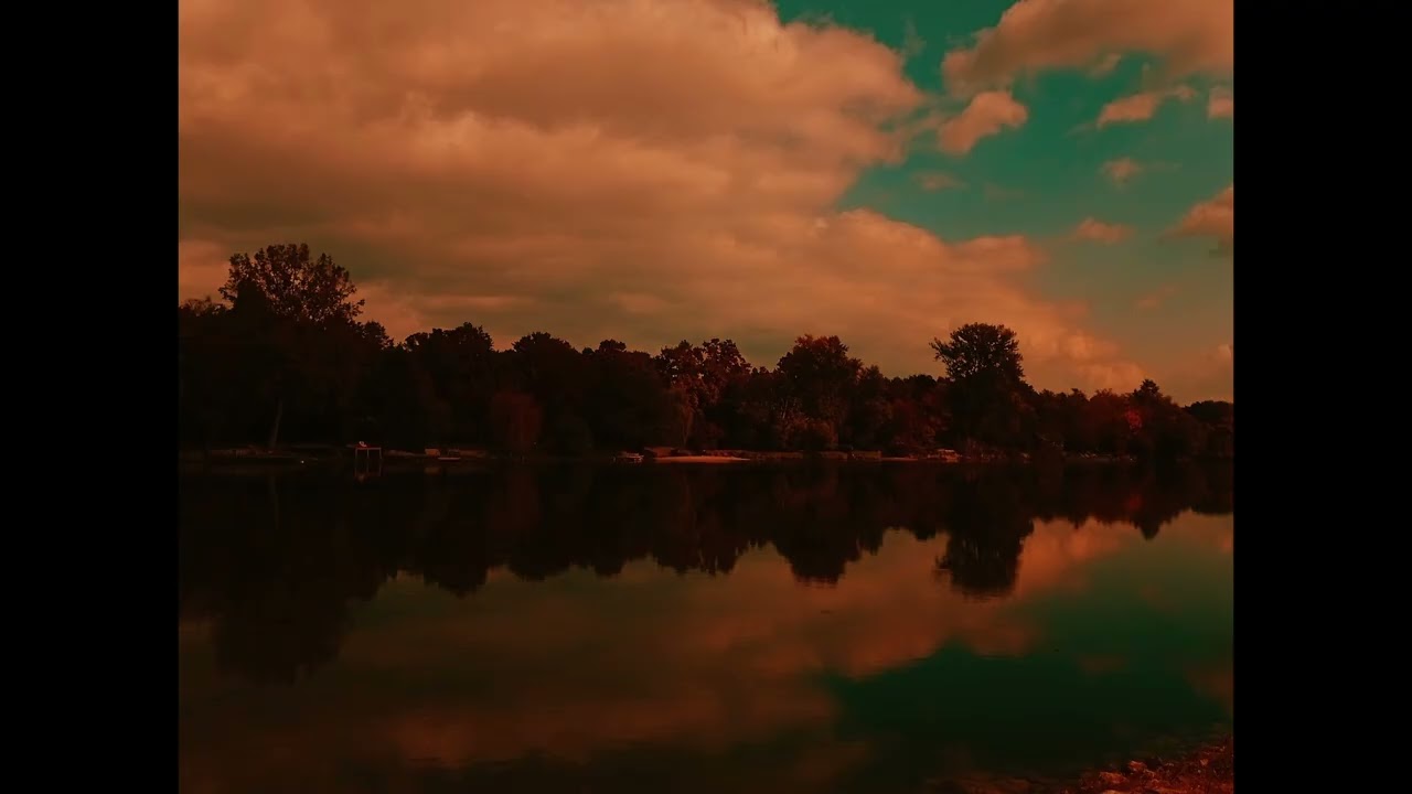 Arkhives Moth - Simple peace