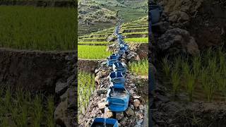 নেপালের মানুষের কৃষি জমিতে পানি দেয়ার জিনিয়াস পদ্ধতি॥ Agriculture in Nepal. #shorts #agriculture