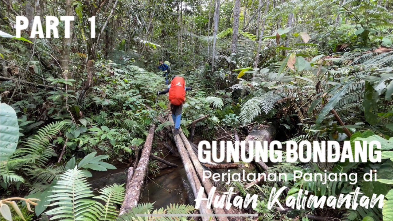 GUNUNG BONDANG: Perjalanan Panjang di Hutan Kalimantan #1