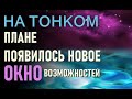 На тонком плане планеты появилось новое окно возможностей