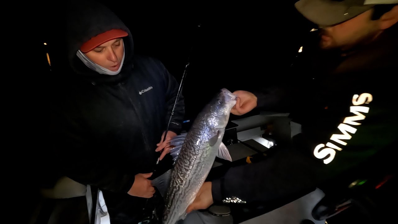 Wintertime Striped Bass Fishing (What you need to know)
