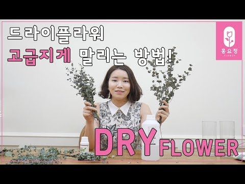 [꽃꽂이_플라워레슨]插花, 드라이플라워 이렇게 말리면 실패없어요!