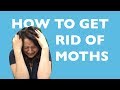 How to Get Rid of Moths