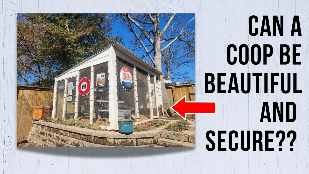 Backyard Chicken Paradise! 🐔😍 Coop Tour & Tips 