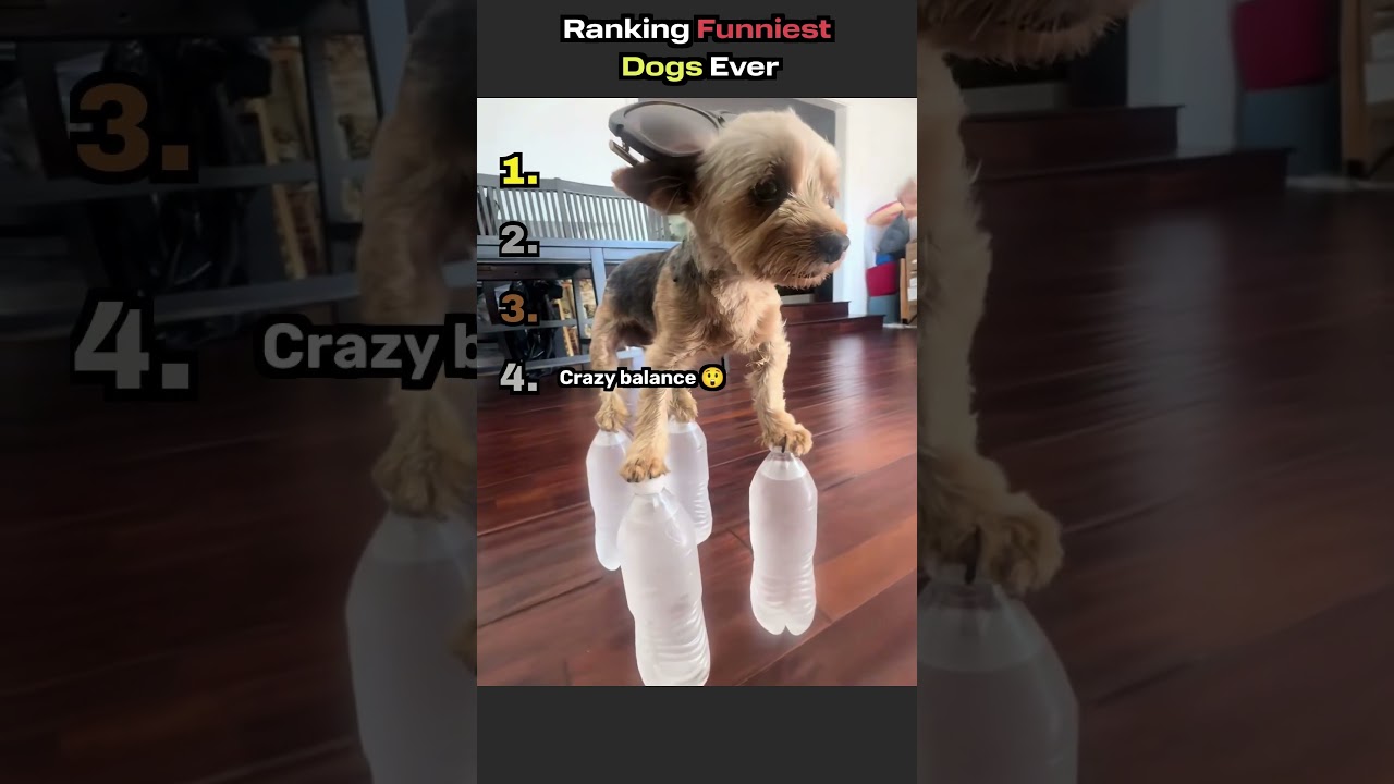 A Compilation Of My Ranking Videos  