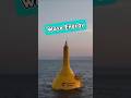 Wave Power 🌊 Harnessing the Ocean's Energy 🔋 Could This Power Our Future? 💡 #shorts #shortvideo
