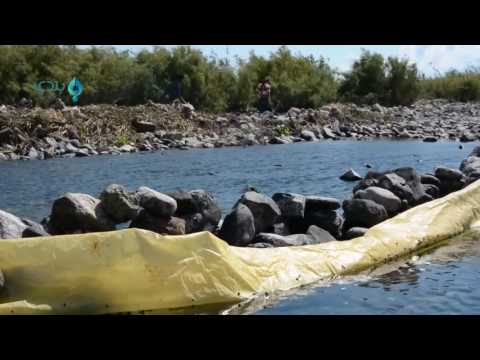 جفاف نهر العاصي بسبب إغلاق النظام لبعض السدود في ريفي حمص وحماة 4 9 2016