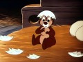 Cartoon tube | Chip n" Dale - Chicken in the rough (HQ)  Cip e Ciop  WWW.GOODNEWS.WS | Video tube
