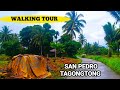 INSIDE SAN PEDRO BUYO TAGONGTONG ROAD TRIP ✅  GOA CAMARINES SUR WALKING TOUR PHILIPPINES