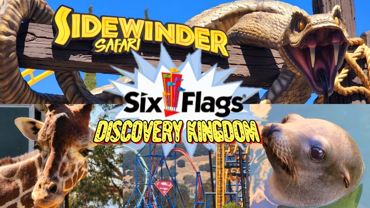 Six Flags Discovery Kingdom August 2022 | NEW Sidewinder Safari Rollercoaster