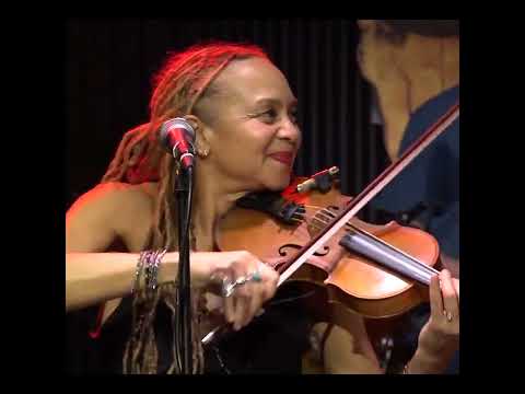 HALO RIDER - Live at The fallout Shelter., Samson and Delilah