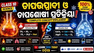 Exothermic vs Endothermic Reactions || Class 10 Science || Full Explanation in Odia