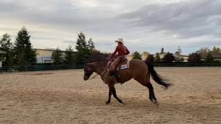 Details Goldmine 2023 AQHA Ranch Riding L1 Pattern 8 News